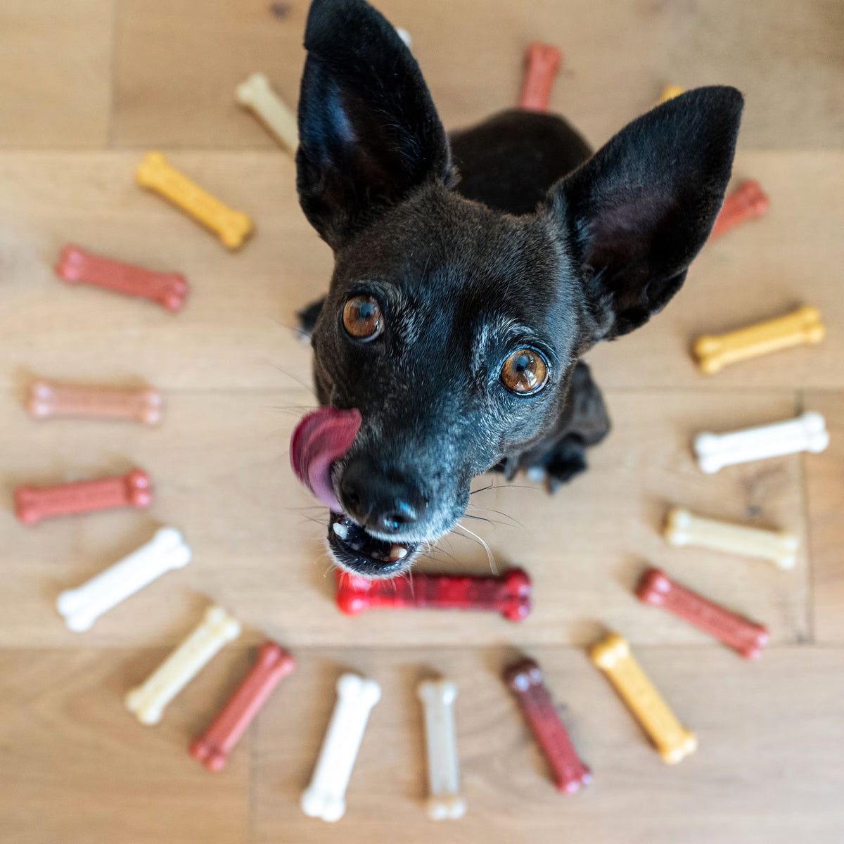 Nylon Dog Chew Toys – photo 2