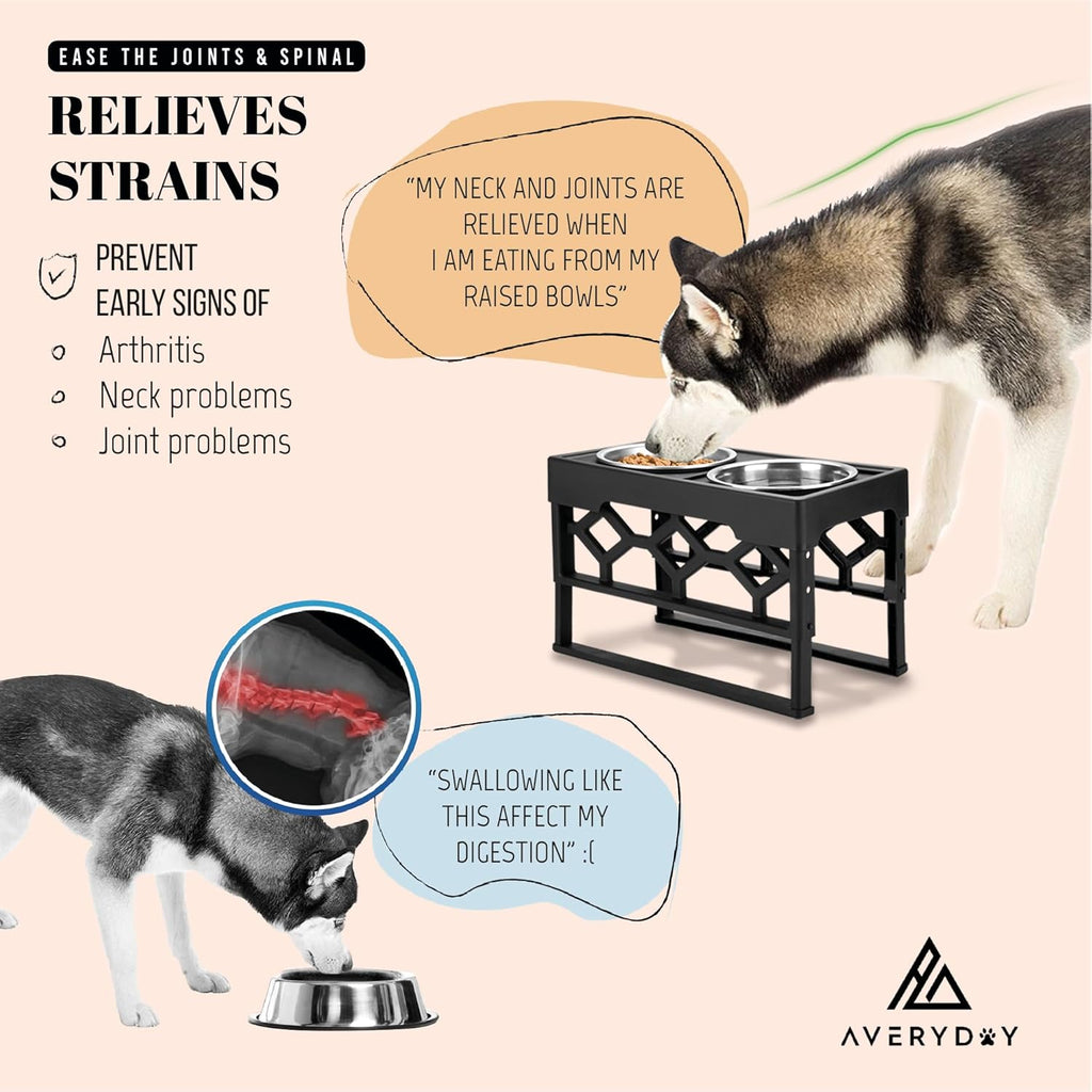 Elevated Dog Bowls – photo 4