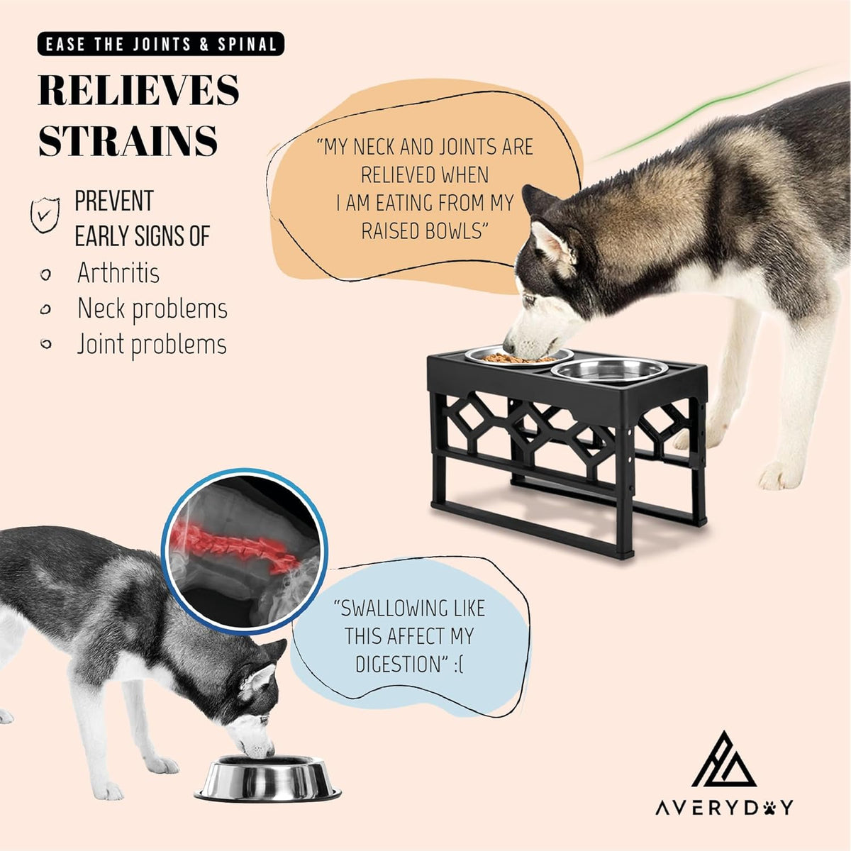 Elevated Dog Bowls – photo 4