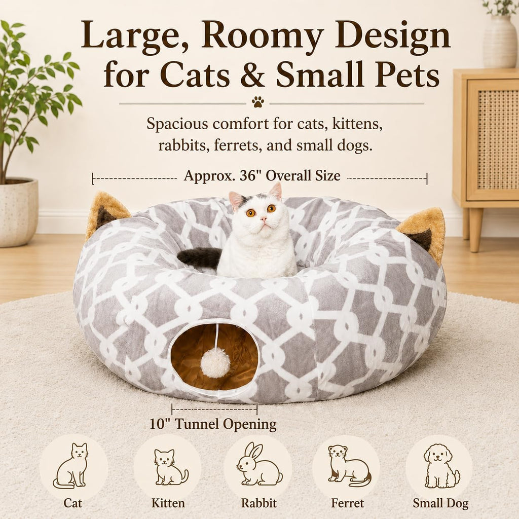 Cat Tunnel – photo 5