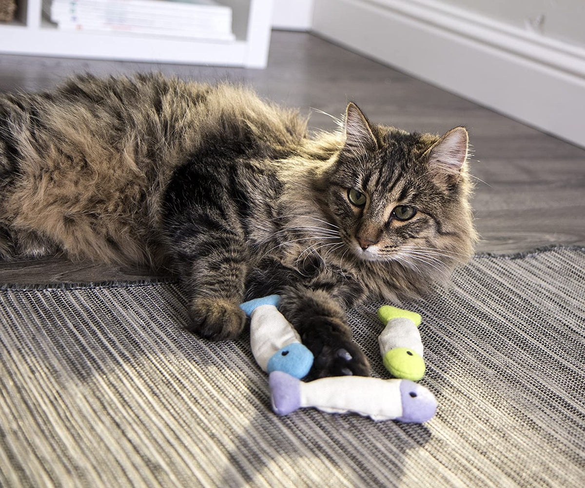 Crinkle Cat Toys – Catnip Fish 3-Pack (Multi-Color)