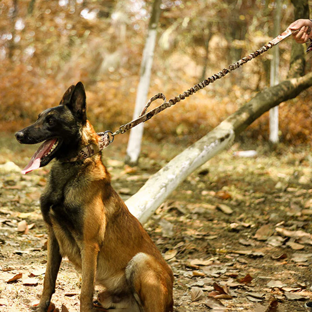 Heavy-Duty Tactical Dog Collar – photo 2