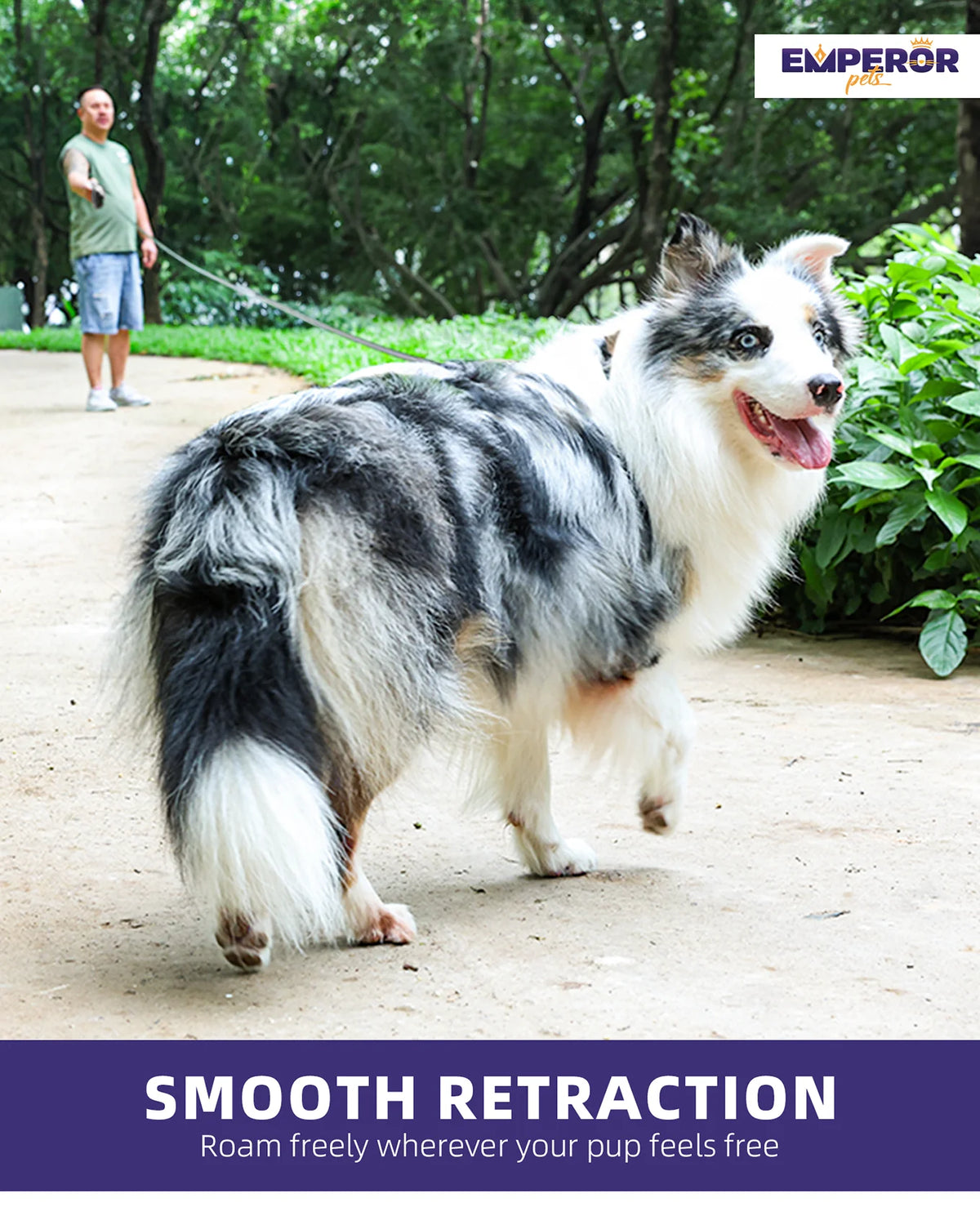 Retractable Dog Leash – photo 8