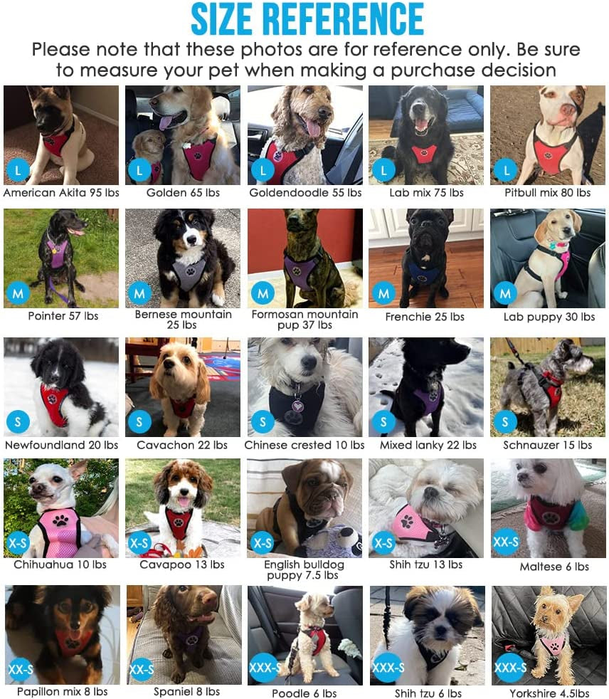 Dog Car Harness – photo 6