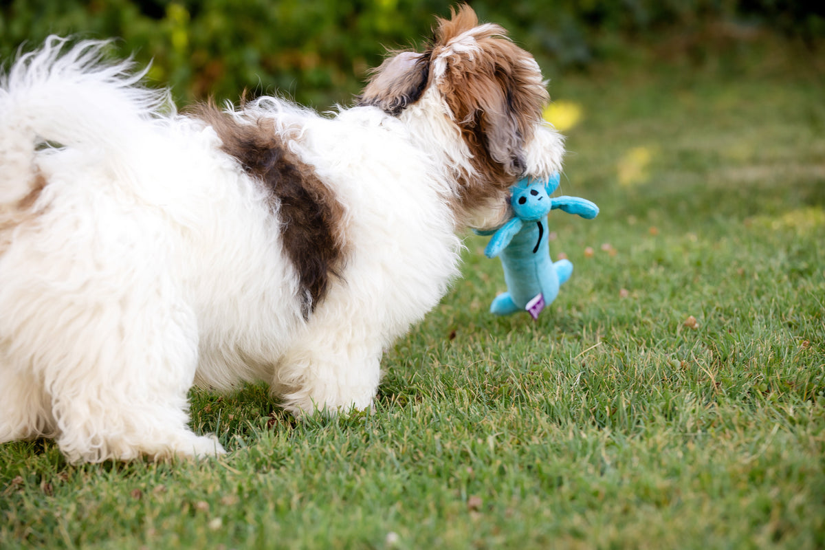 Plush Squeaky Dog Toys – photo 3