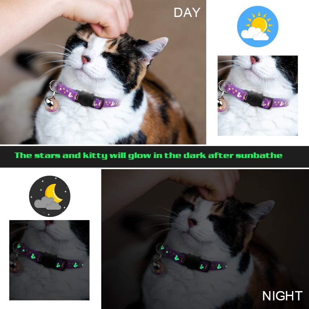 Glow in the Dark Cat Collar – photo 6