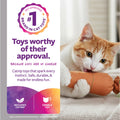Catnip Carrot Cat Toy – 1