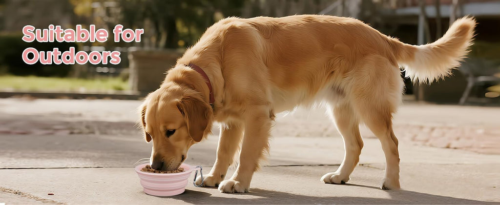Large Collapsible Dog Bowl, 22oz – photo 2