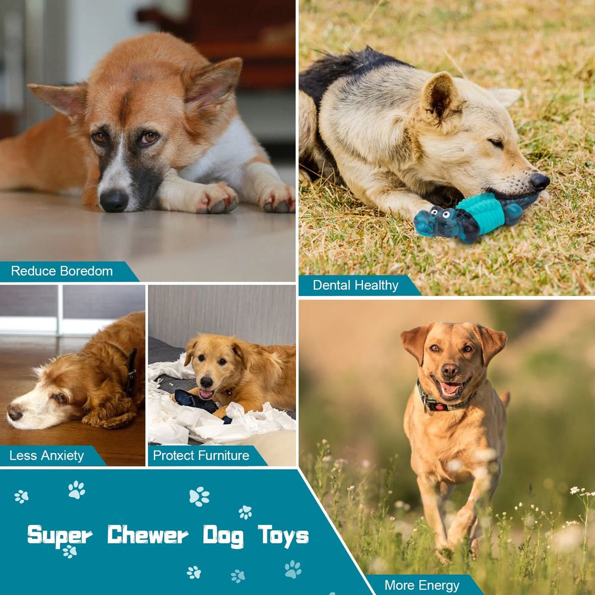 Dog Dental Chew Toy – photo 3