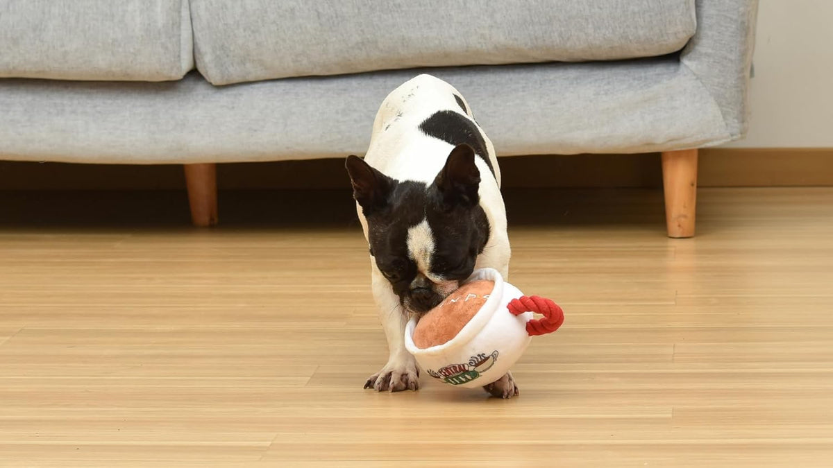 Central Perk Dog Toy – photo 6