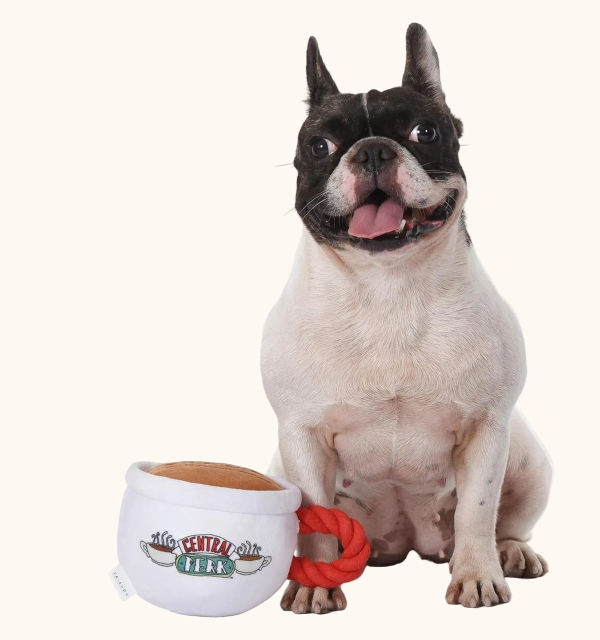 Central Perk Dog Toy – Officially Licensed Friends Mug Squeaky Plush with Rope Handle