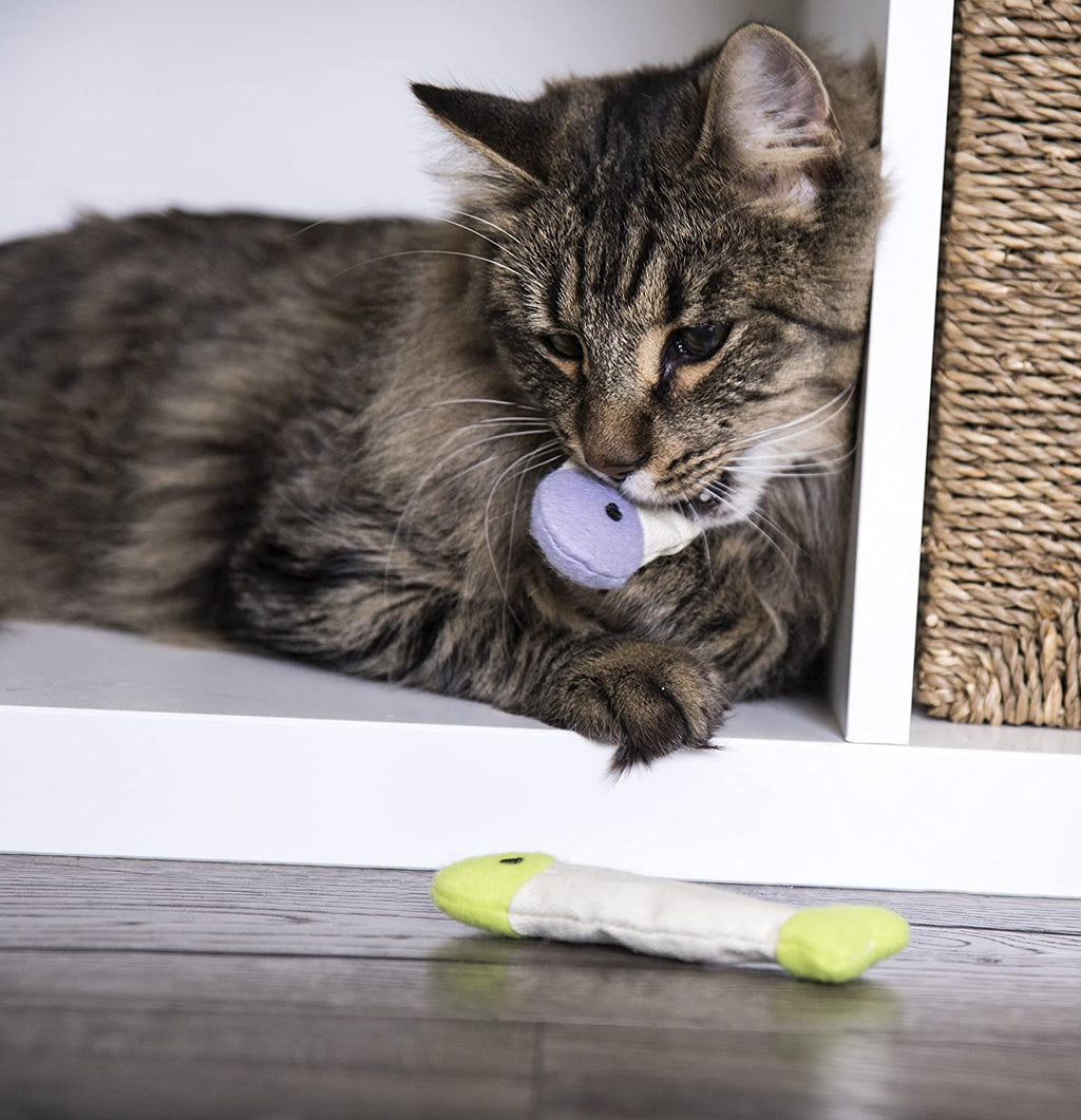Crinkle Cat Toys – photo 2