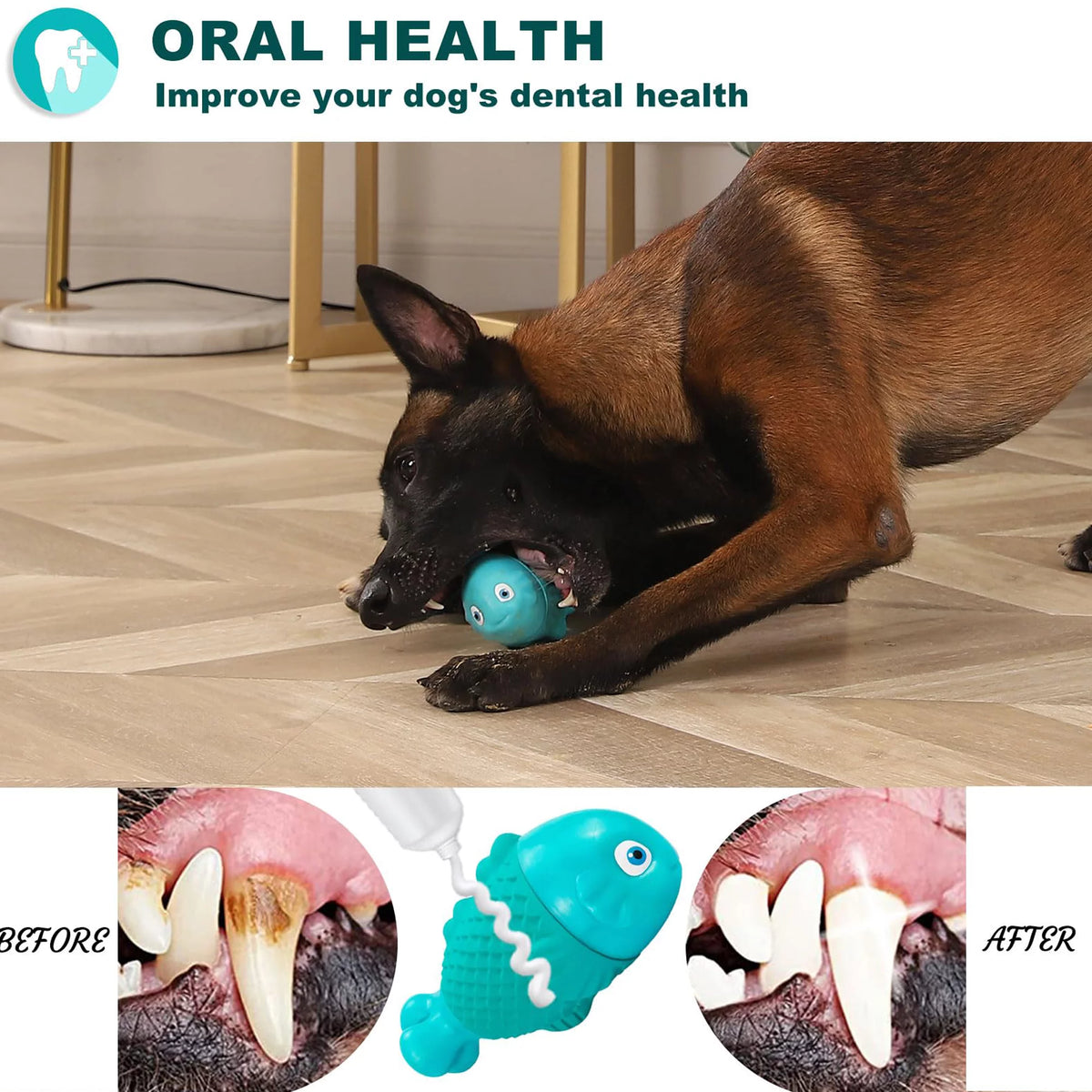 Squeaky Chew Toy for Large Dogs – photo 3