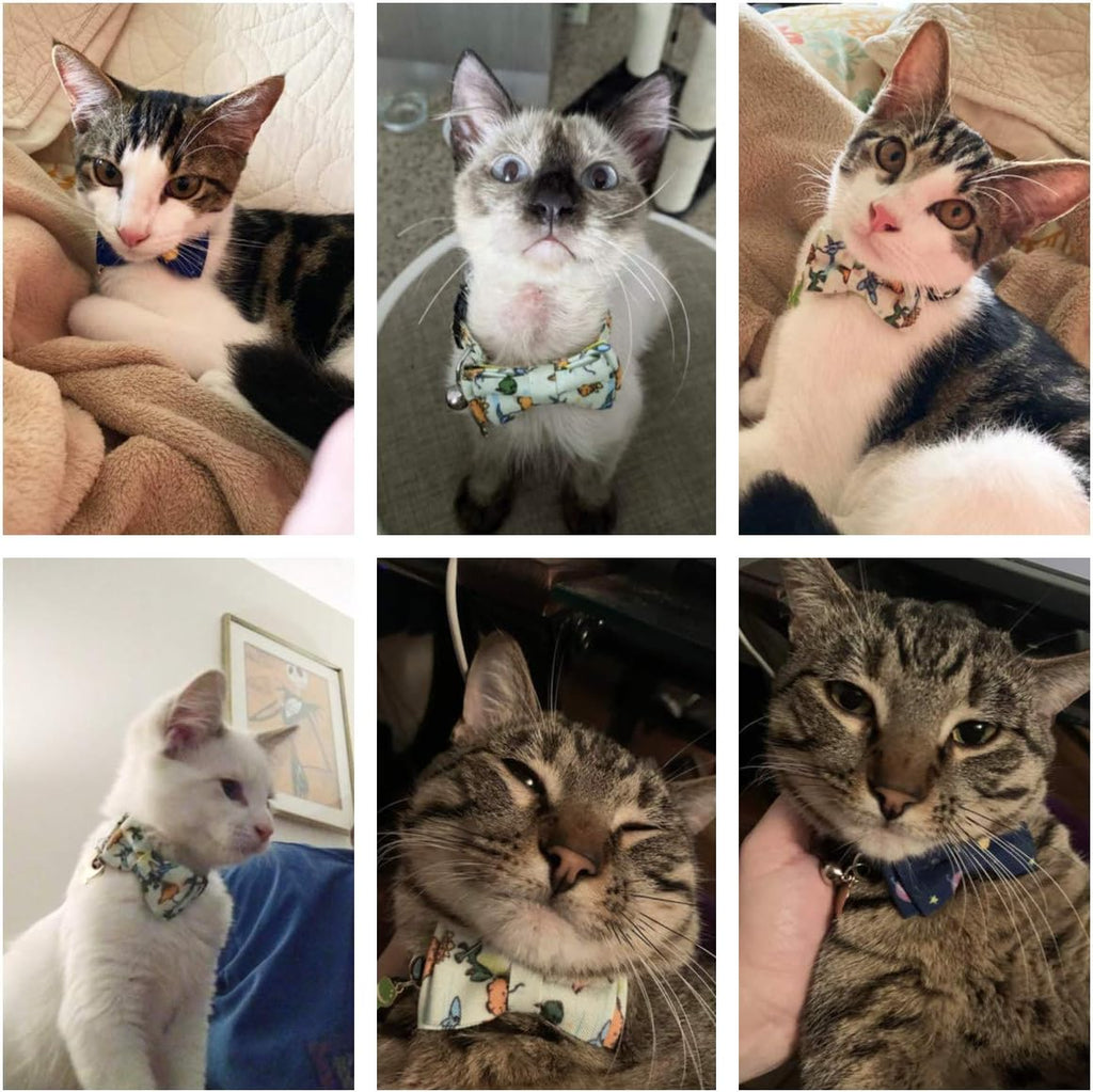 Dinosaur Cat Collar – photo 2