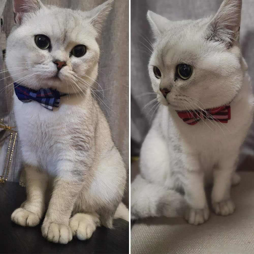 Cat Collar with Bow Tie – photo 2
