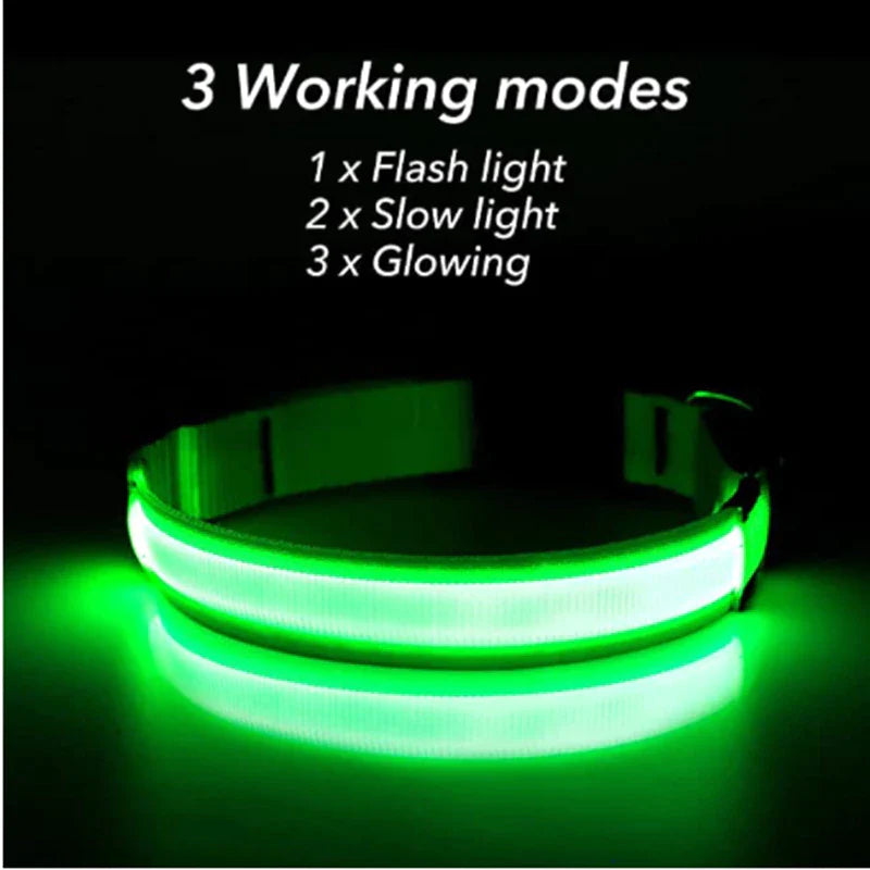LED Light-Up Dog Collar – photo 3