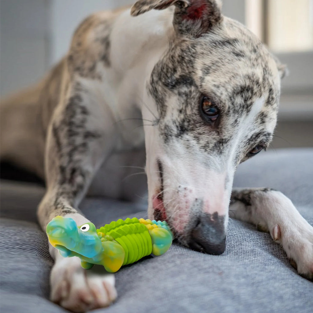 Crocodile Dog Chew Toy – Nylon-Rubber Dental Chew for Aggressive Chewers, Bacon Flavor (Green)