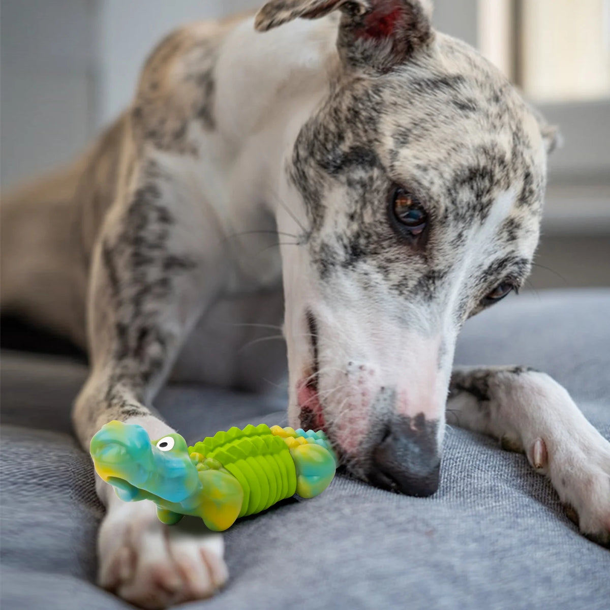 Crocodile Dog Chew Toy – Nylon-Rubber Dental Chew for Aggressive Chewers, Bacon Flavor (Green)