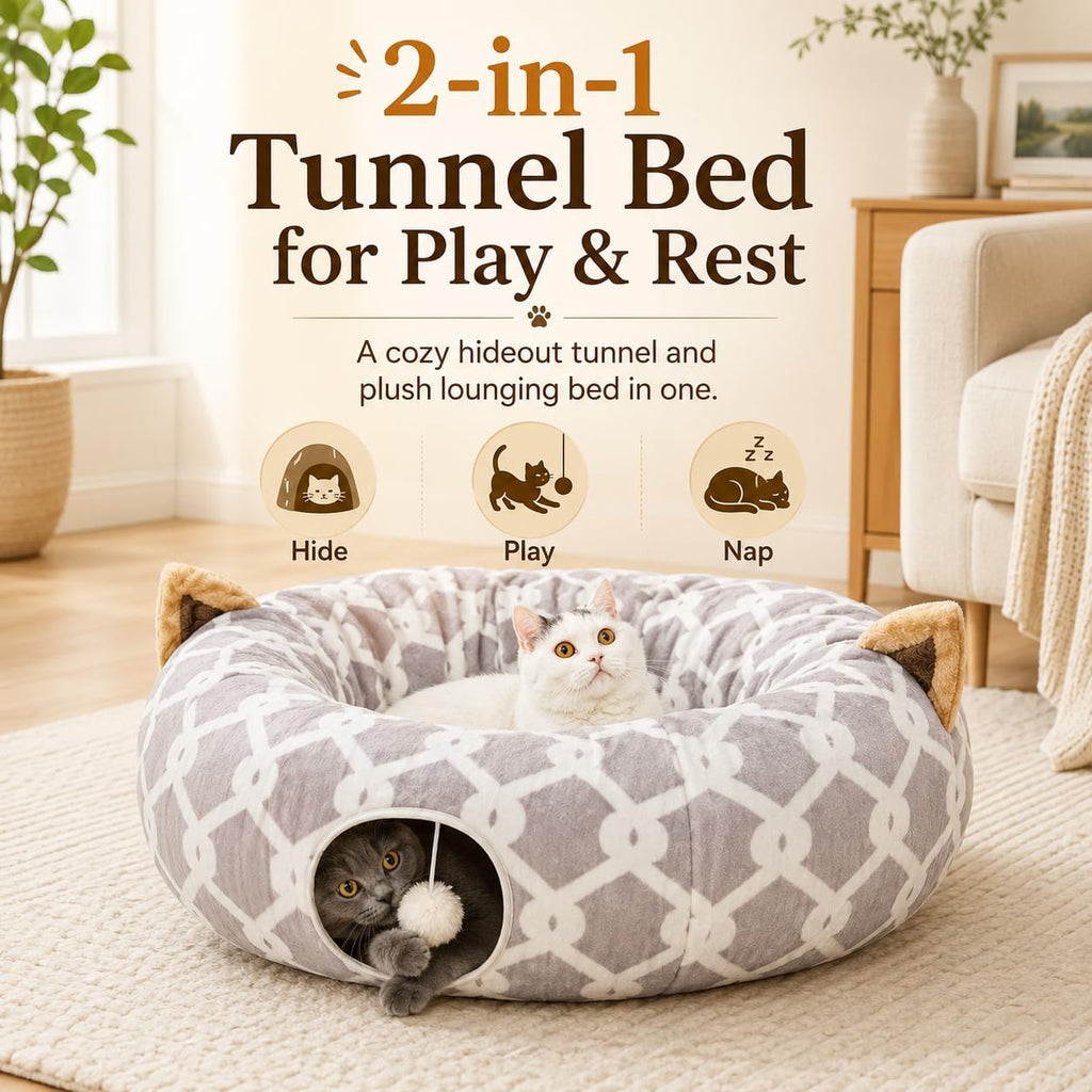 Cat Tunnel – photo 3