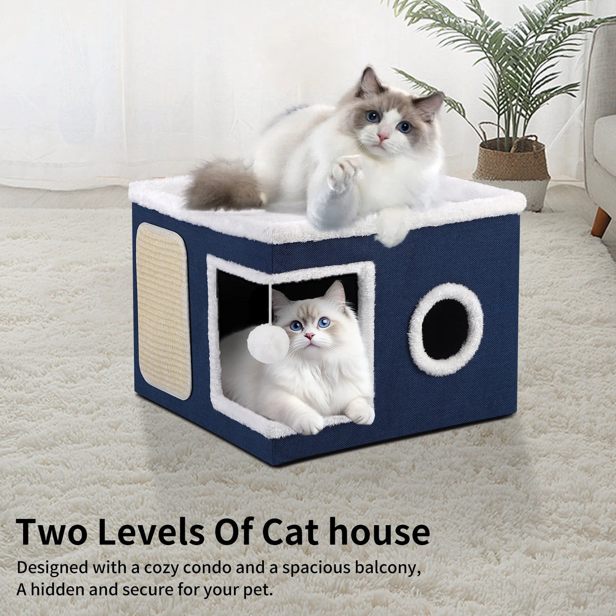 Cat Cube – photo 8