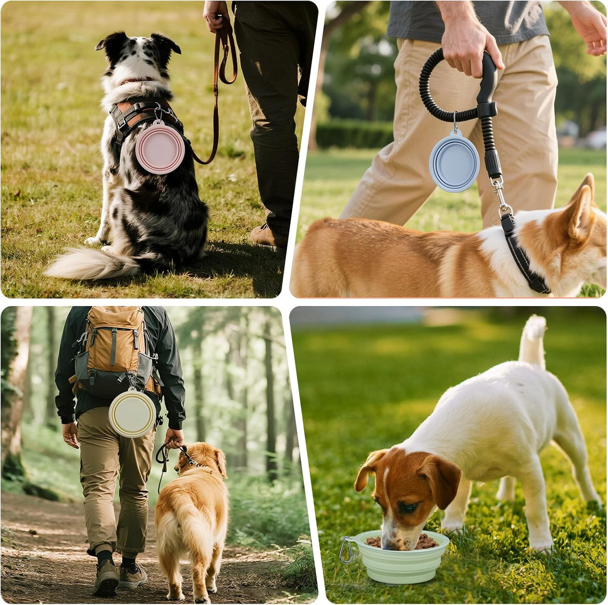 Collapsible Dog Bowl, 12oz – photo 2