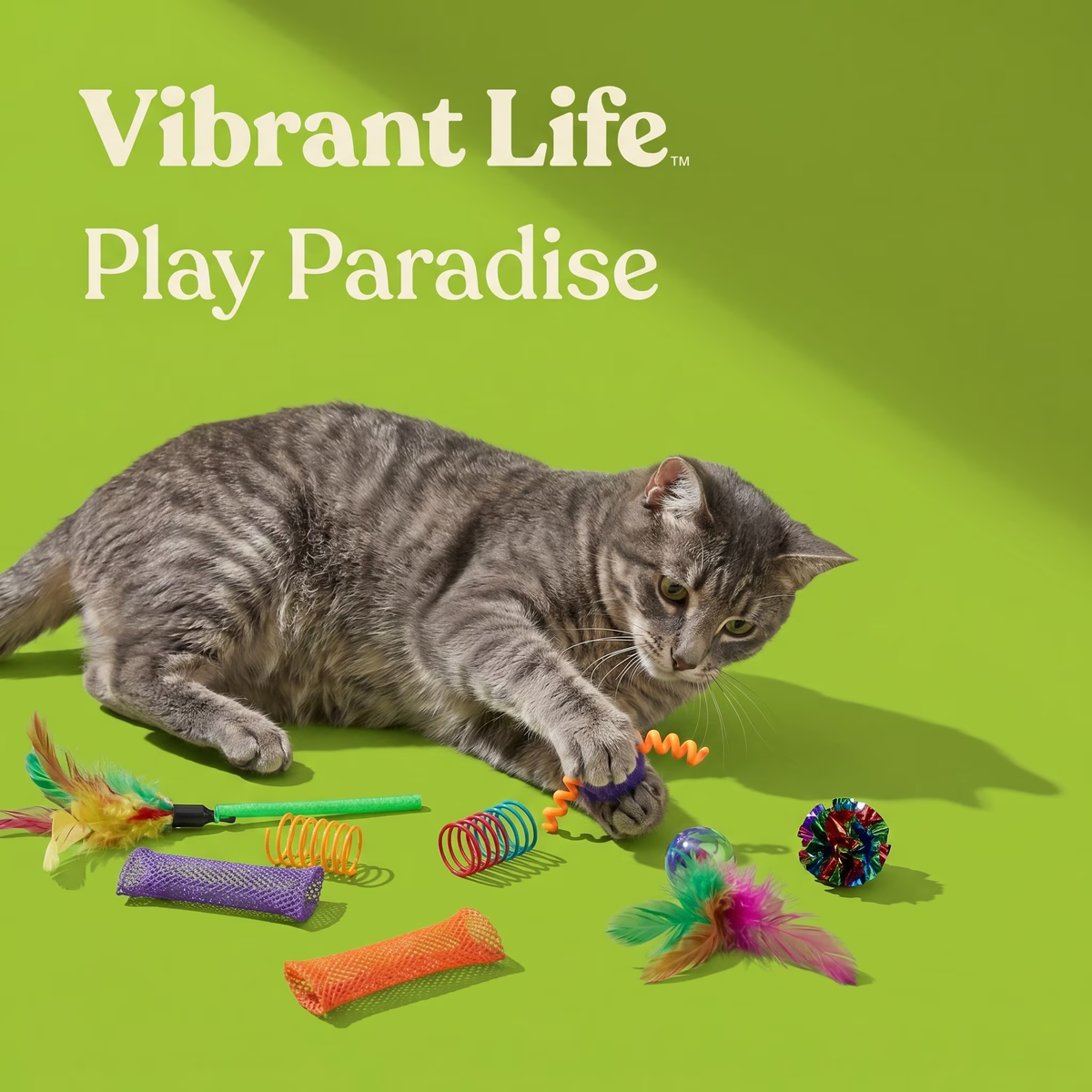Cat Toy Variety Pack – photo 2