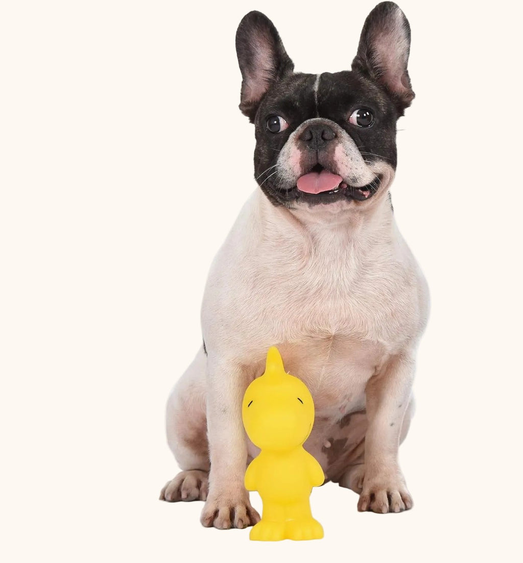 Woodstock Vinyl Dog Toy – photo 3