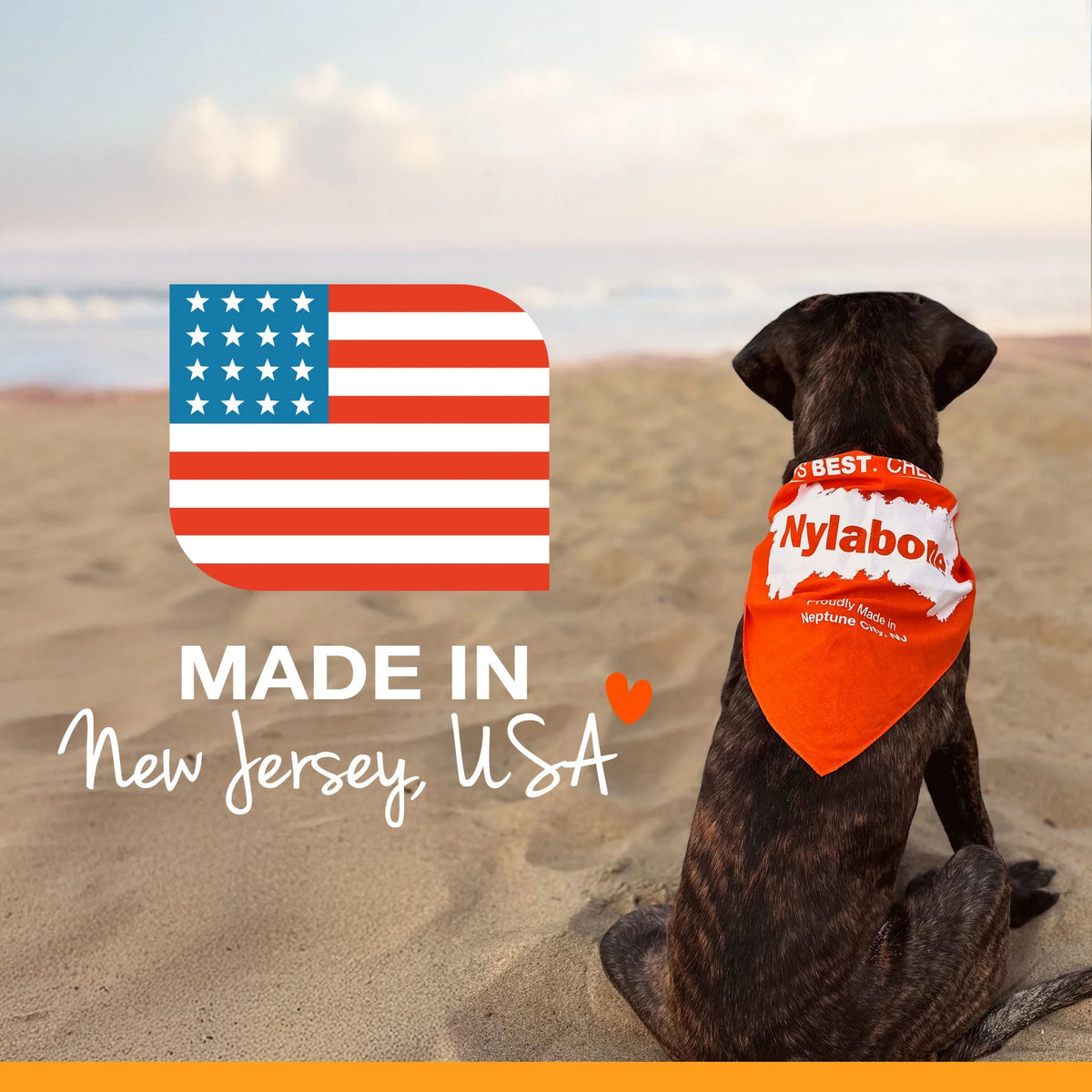 Nylon Dog Chew Toys – photo 7