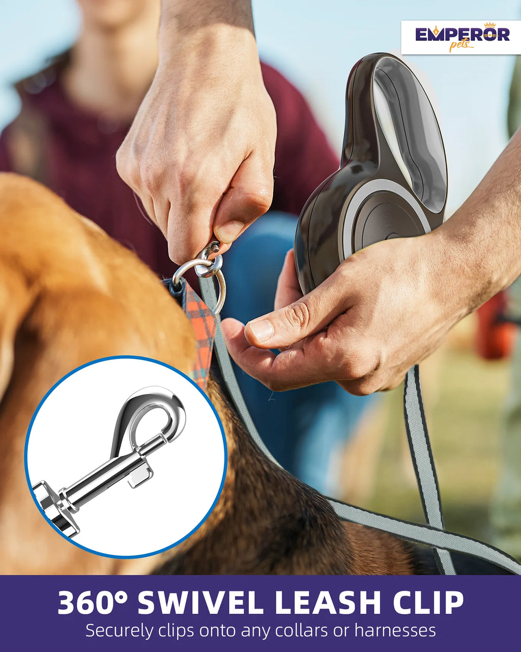 Retractable Dog Leash – photo 2