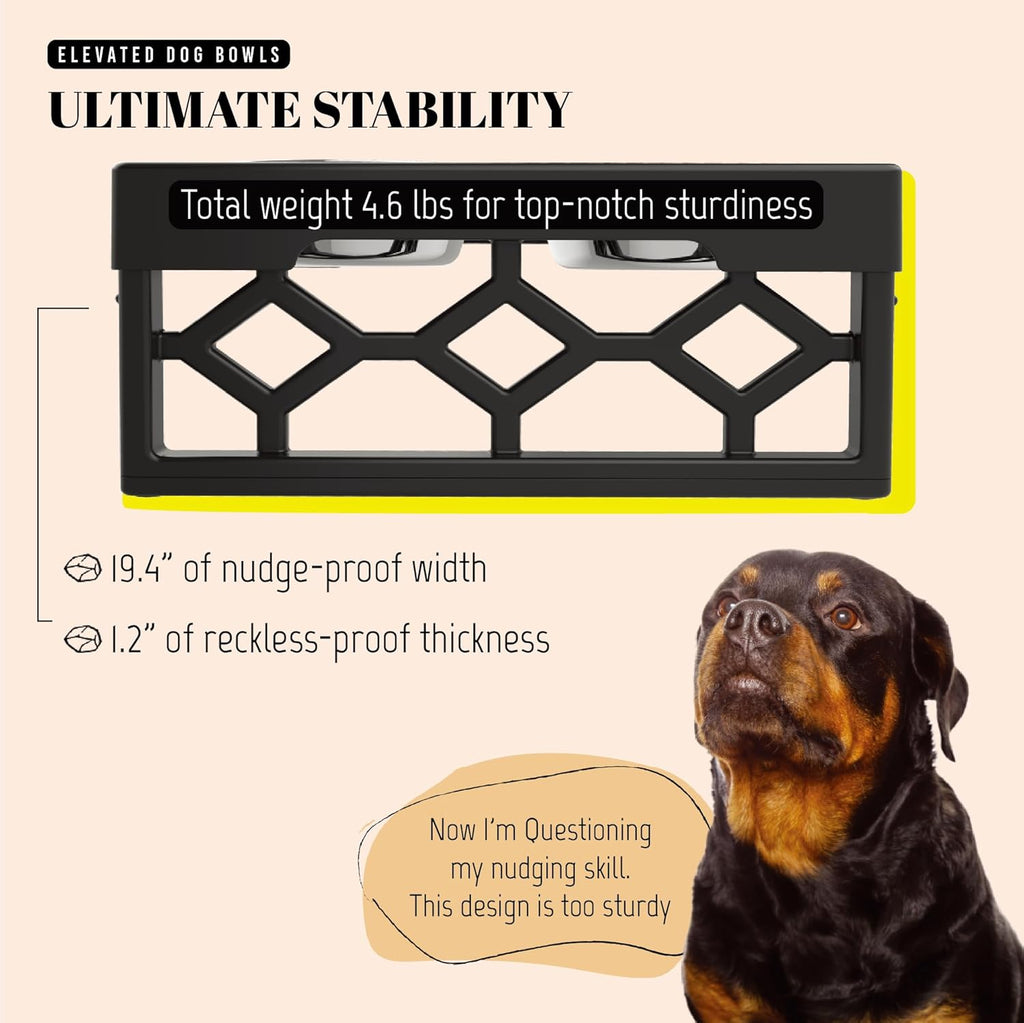 Elevated Dog Bowls – photo 6