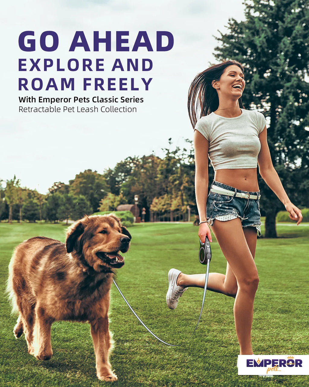 Retractable Dog Leash – photo 3