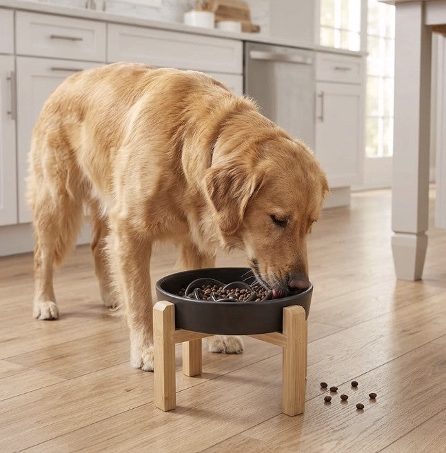 Ceramic Slow Feeder Dog Bowl – Elevated, Non-Slip Raised Puzzle Bowl for Small & Medium Dogs (Black)