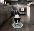 Dog Lick Mat Bowl – Silicone Slow Feeder & Anti-Choking Puzzle Bowl for Dogs & Cats (Blue)