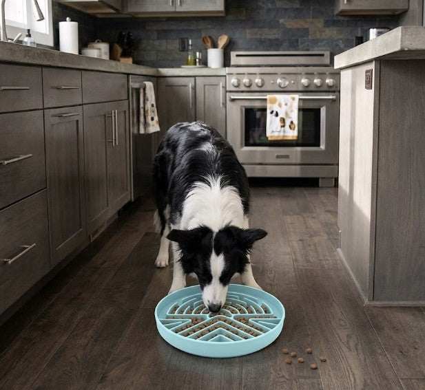 Dog Lick Mat Bowl – Silicone Slow Feeder & Anti-Choking Puzzle Bowl for Dogs & Cats (Blue)