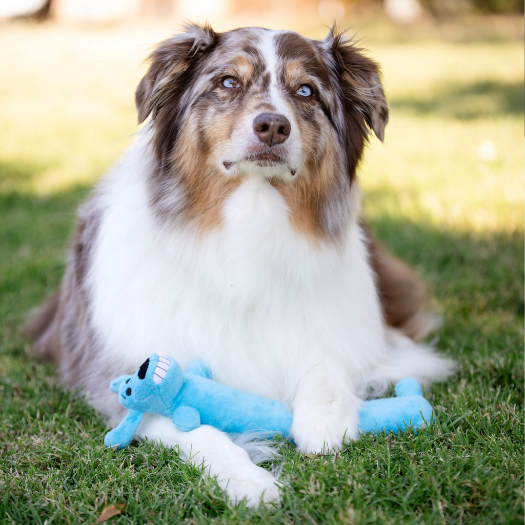 Plush Squeaky Dog Toys – 12" Smiling Loofa-Style Toy, 2-Pack