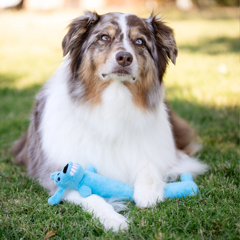 Plush Squeaky Dog Toys – 12" Smiling Loofa-Style Toy, 2-Pack