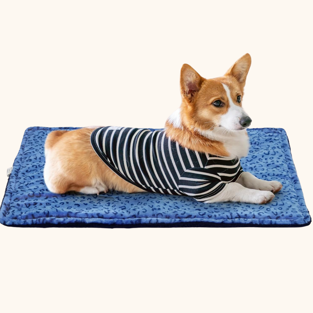 Self-Warming Pet Blanket – Soft Thermal Mat for Cats & Dogs, Blue (27in x 22in)