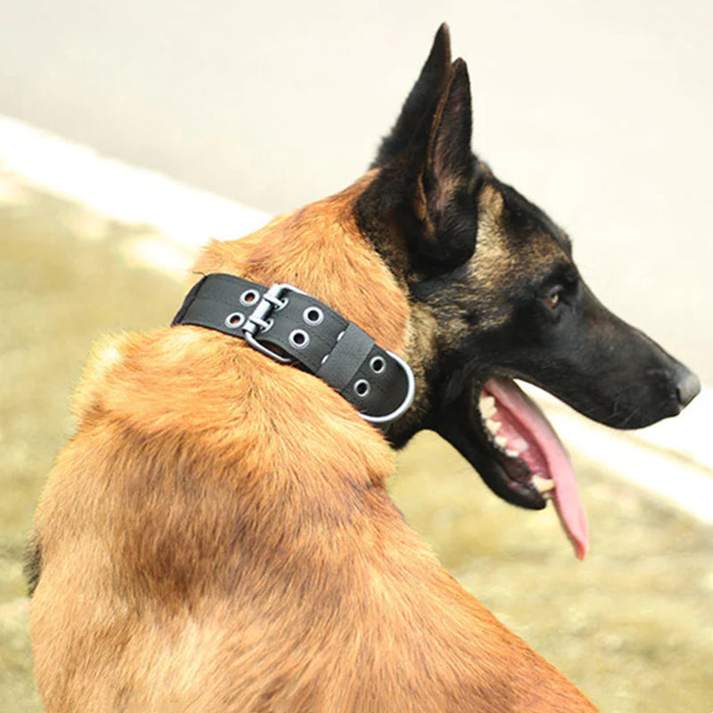Heavy-Duty Tactical Dog Collar – M - Neck 15.7" ~ 19.7", Black