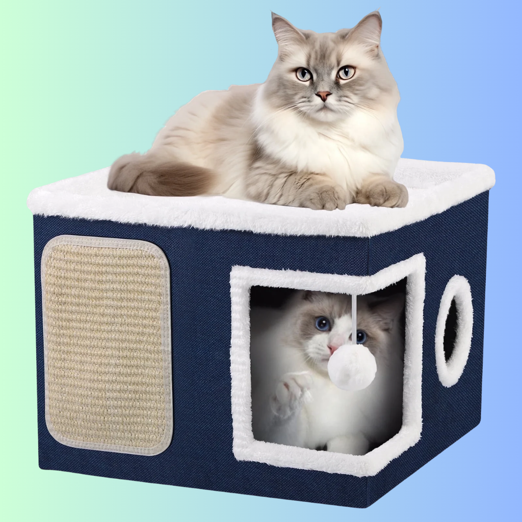 Cat Cube – 3-in-1 Foldable Cat Condo with Scratch Pad & Hanging Ball (Blue)