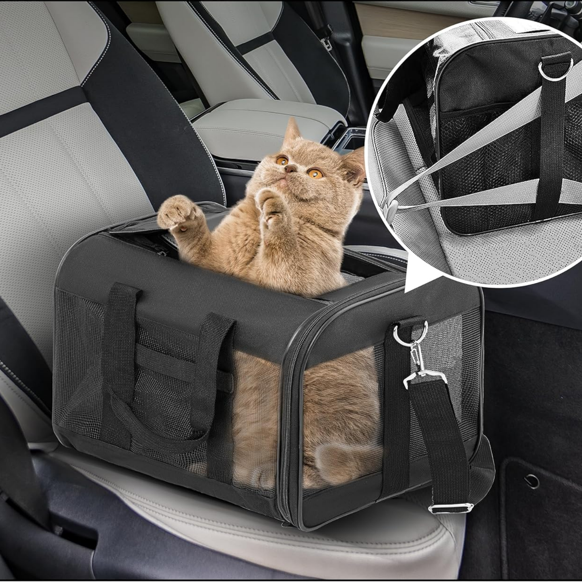 TSA Approved Pet Carrier – Soft-Sided, Collapsible Airline Travel Bag for Cats & Small Dogs (Black)