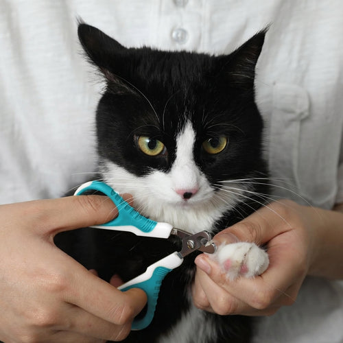 Cat Nail Clippers – Curved Precision Trimmer for Cats & Small Dogs