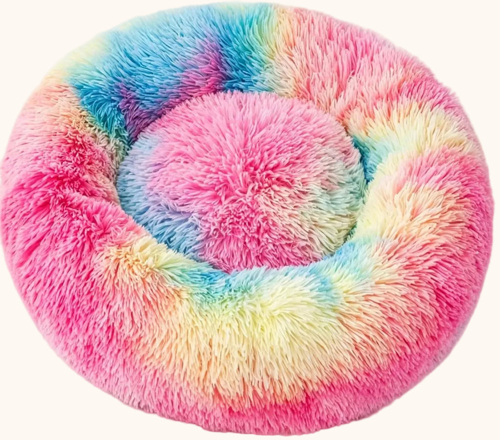 Kitten Bed – Colorful 13.5 Inches