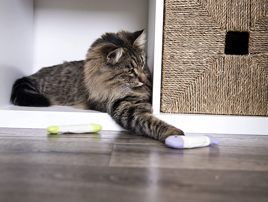 Crinkle Cat Toys – photo 3