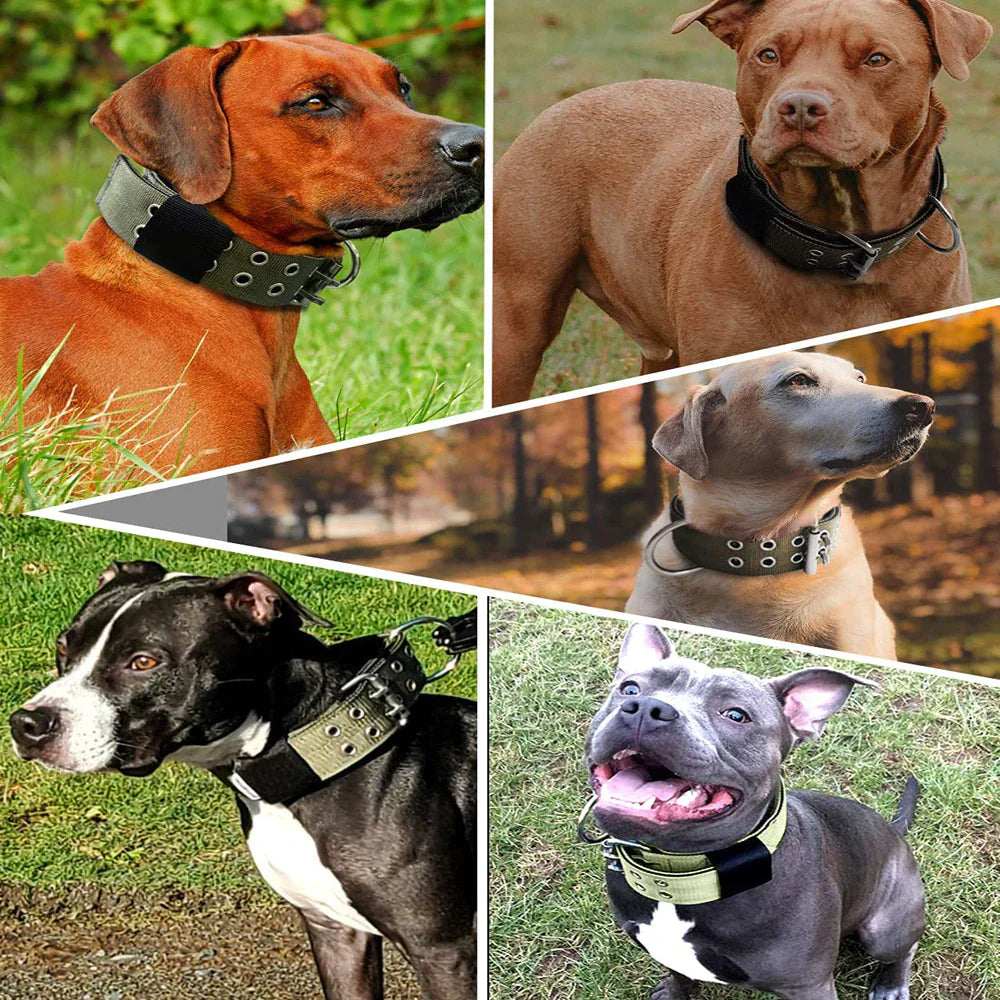 Heavy-Duty Tactical Dog Collar – photo 5