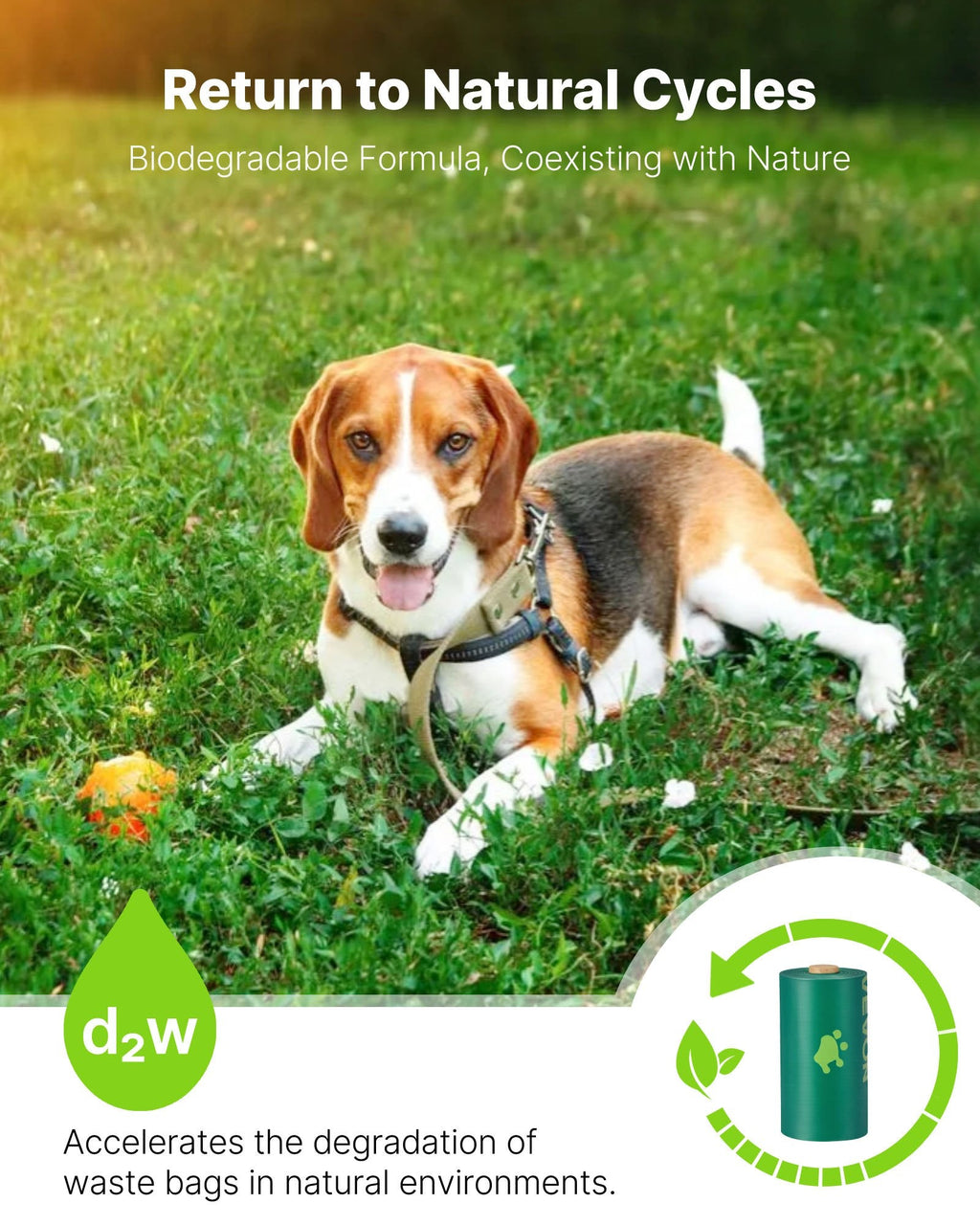 Biodegradable Dog Poop Bags, 270 Count – photo 2