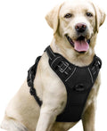 No Pull Harness for Large Dogs – Classicblack, L