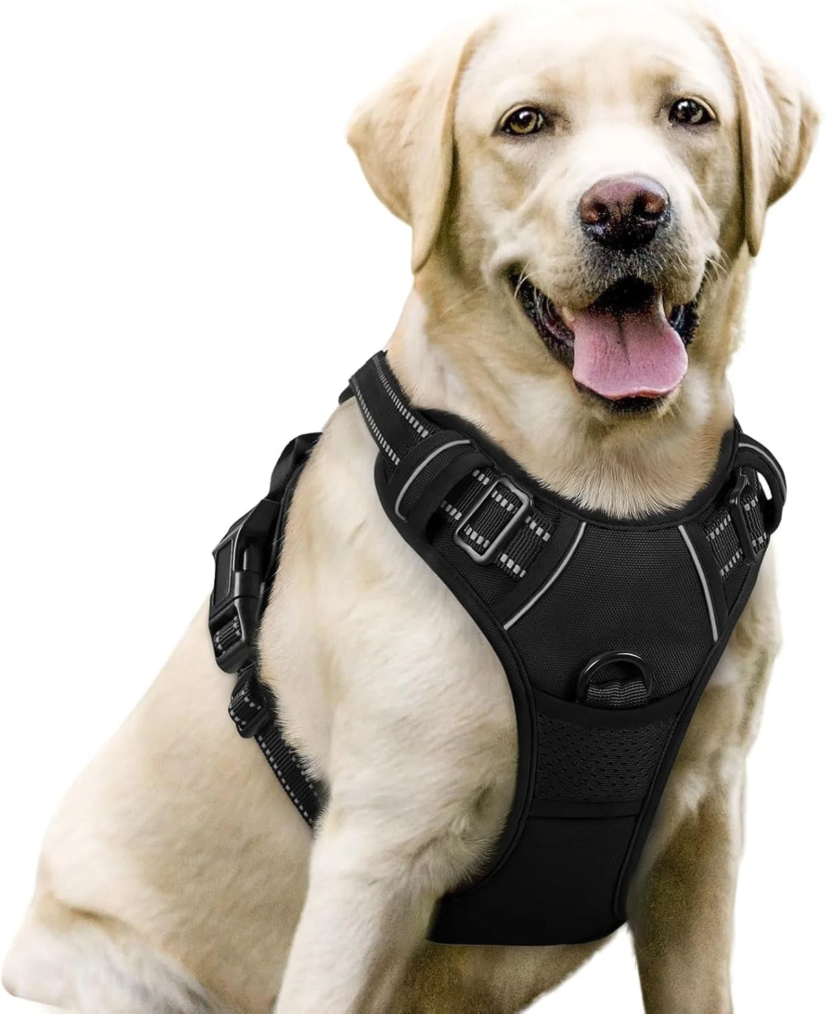 No Pull Harness for Large Dogs – Classicblack, L
