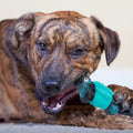 Dog Dental Chew Toy – Nylon-Rubber Crocodile for Aggressive Chewers, Bacon Flavor (Blue)