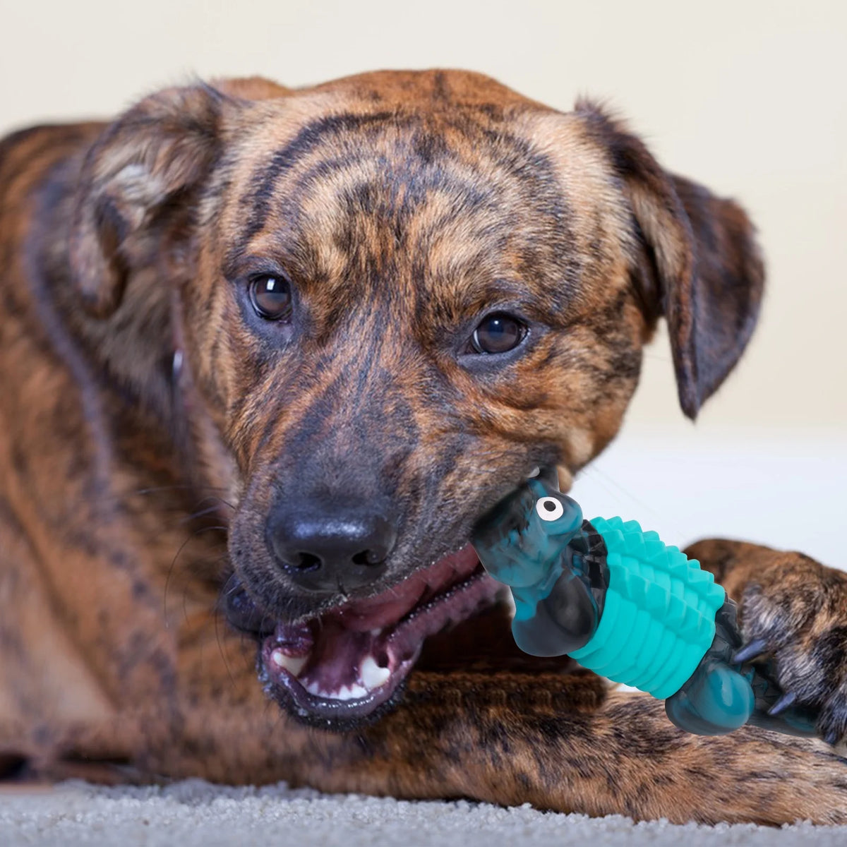 Dog Dental Chew Toy – Nylon-Rubber Crocodile for Aggressive Chewers, Bacon Flavor (Blue)