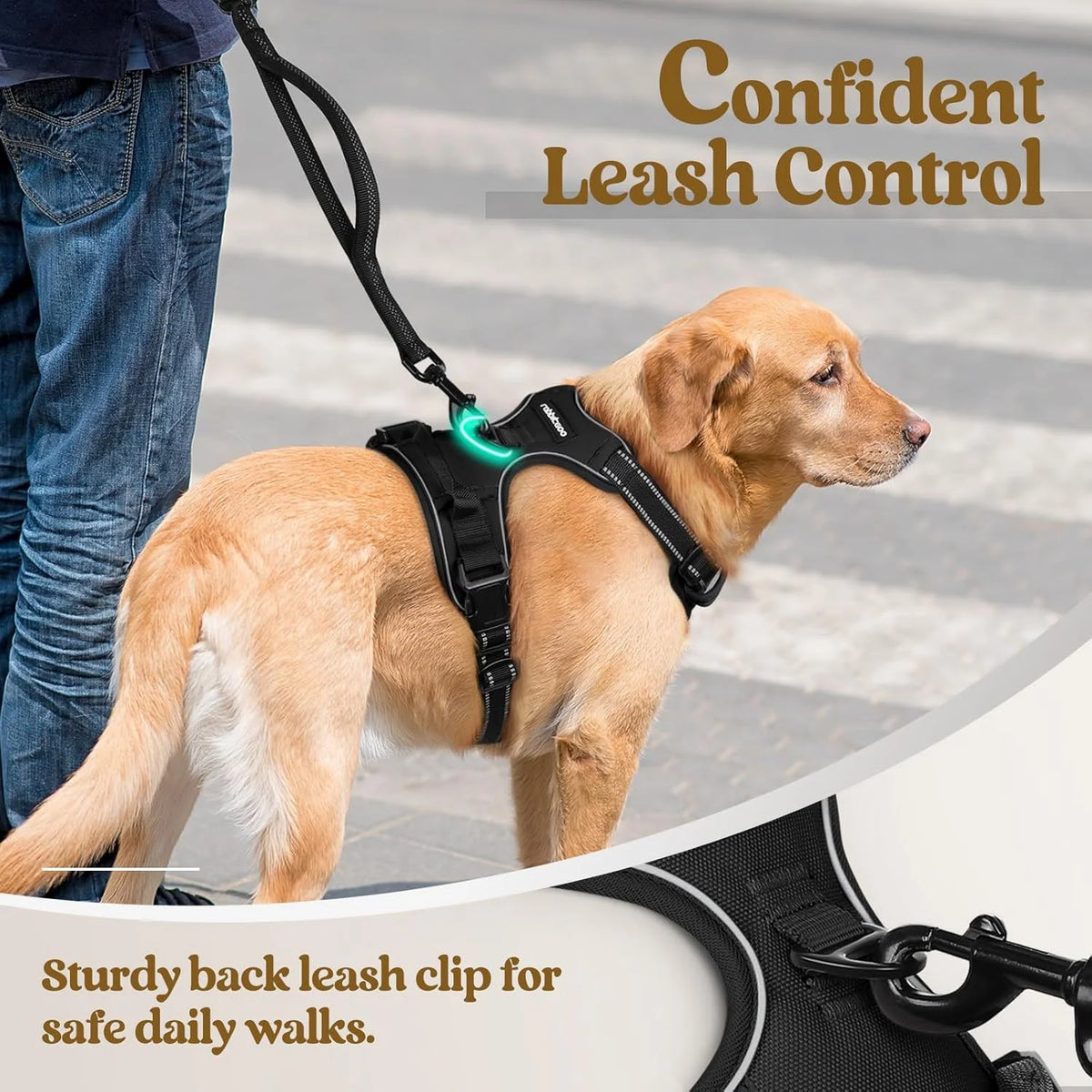 No Pull Harness for Large Dogs – photo 4